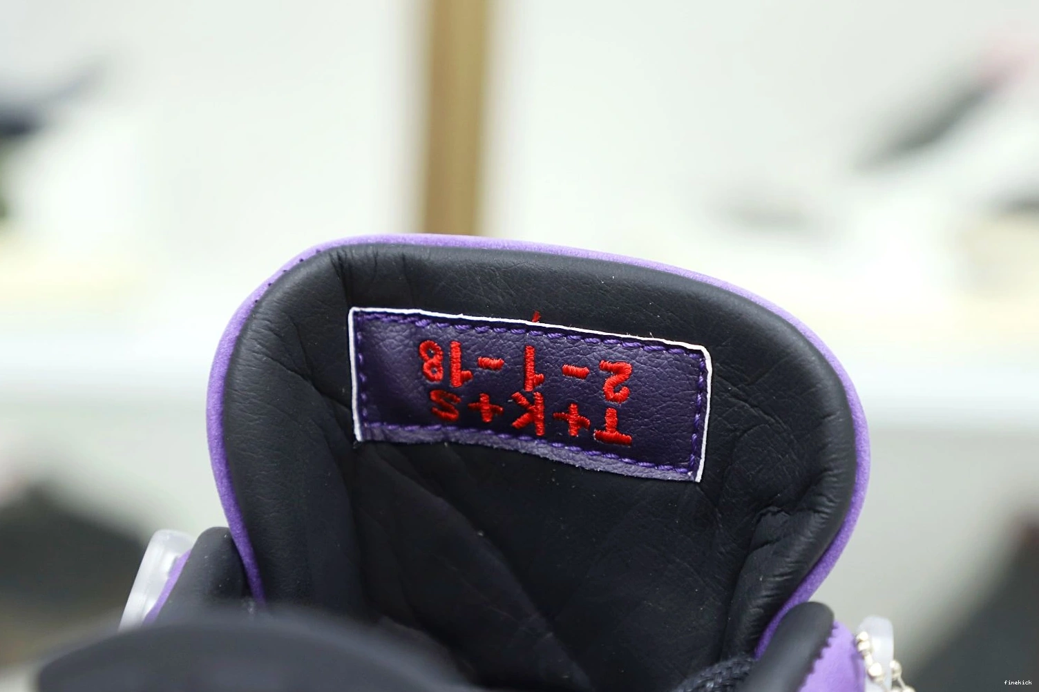 4 Jordan Air Jordan 1005